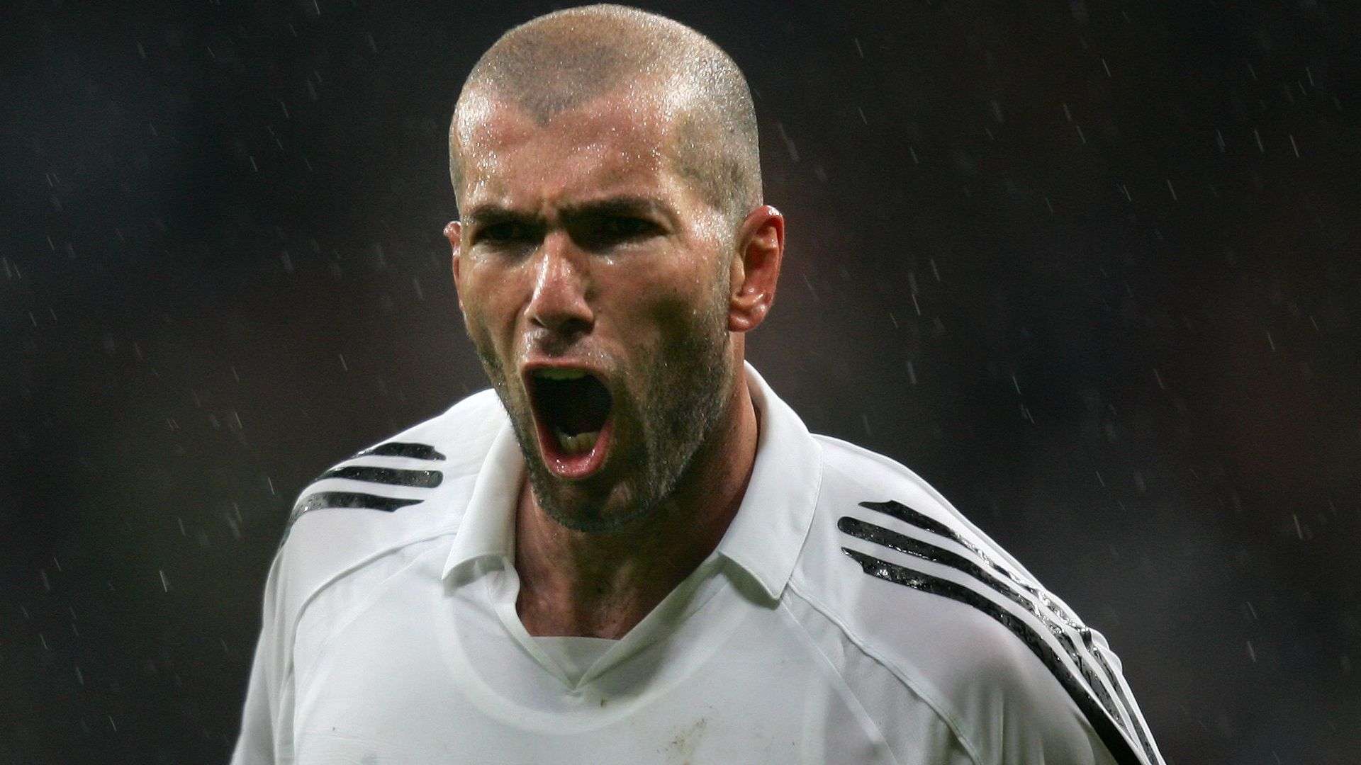 发了广泛关 发了广泛关